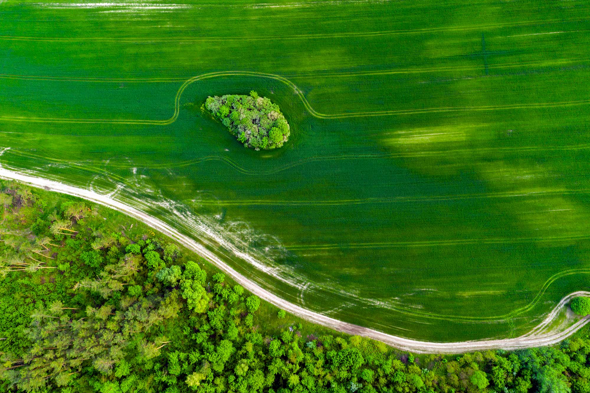 0029 Spacious Land