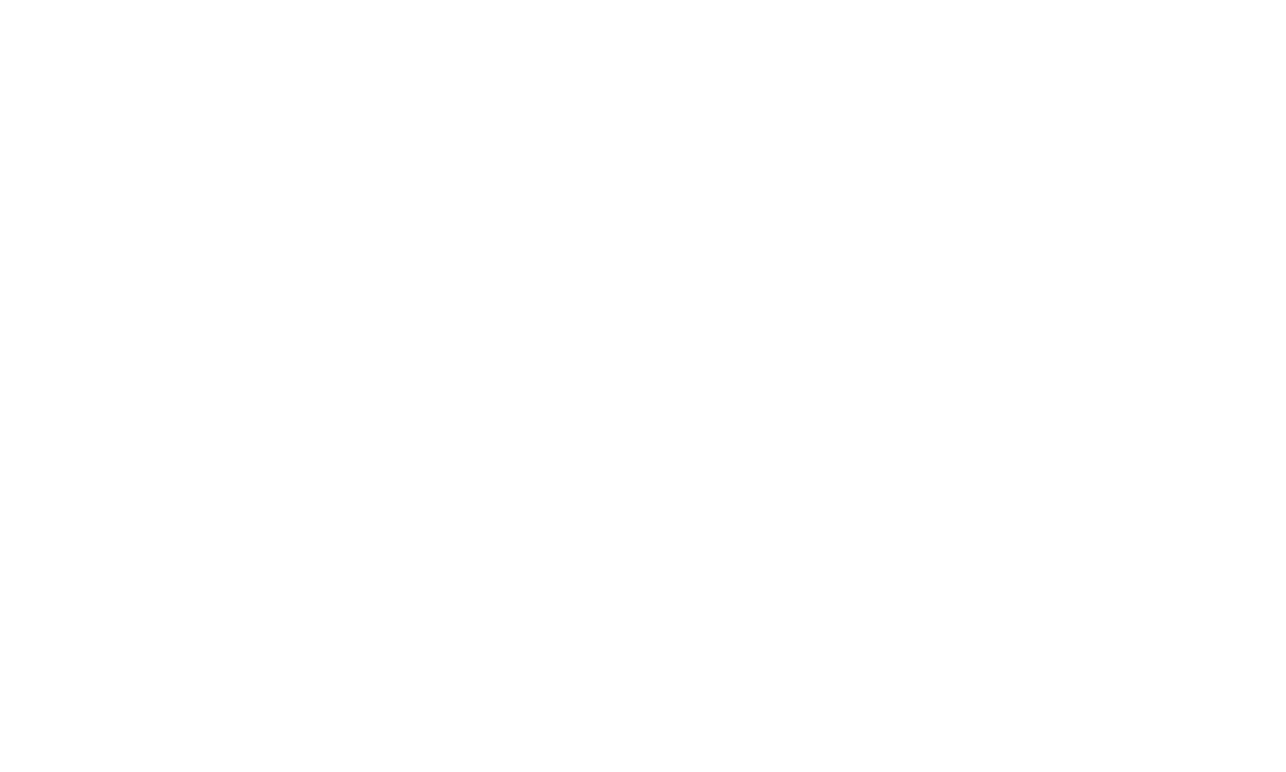 SKV Property Investment Consulting